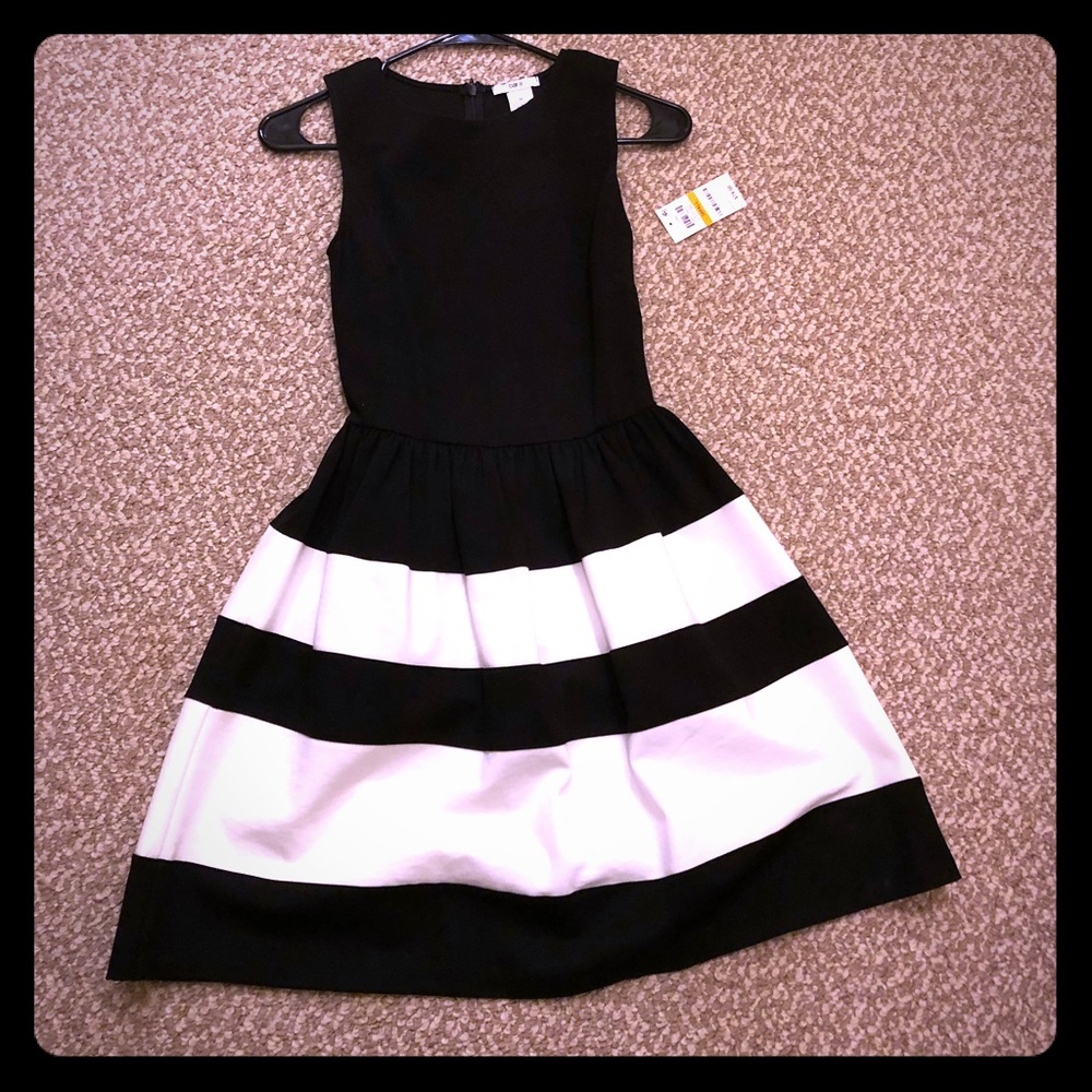 Black and White Fit and Flare Dress